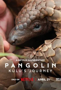 ดูหนังออนไลน์ การเดินทางของคูลู Pangolin Kulu s Journey 2025