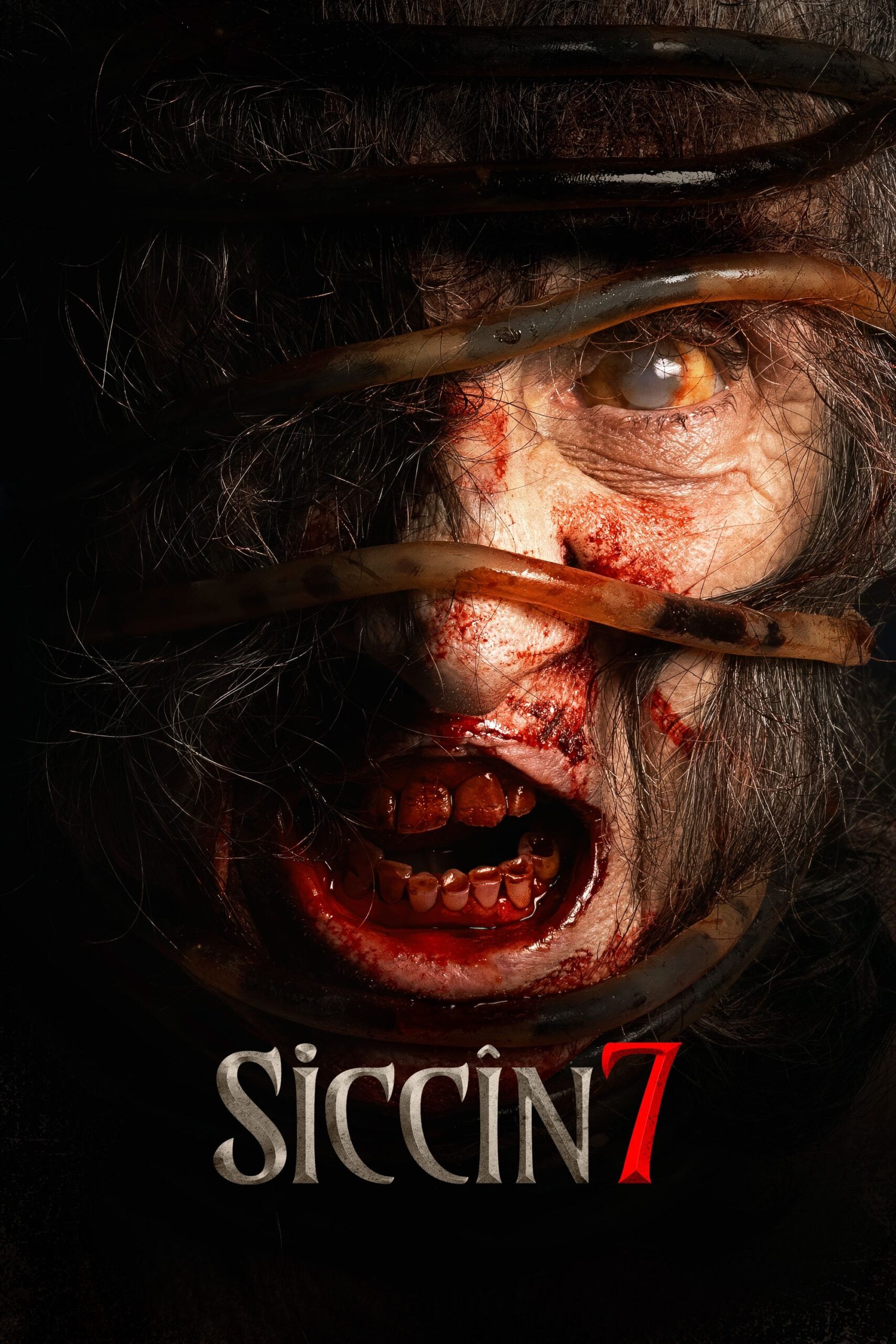 ดูหนังออนไลน์ Sijjin 7 (2024)
