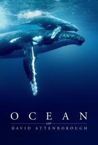 ดูหนังออนไลน์ Ocean with David Attenborough (2025)