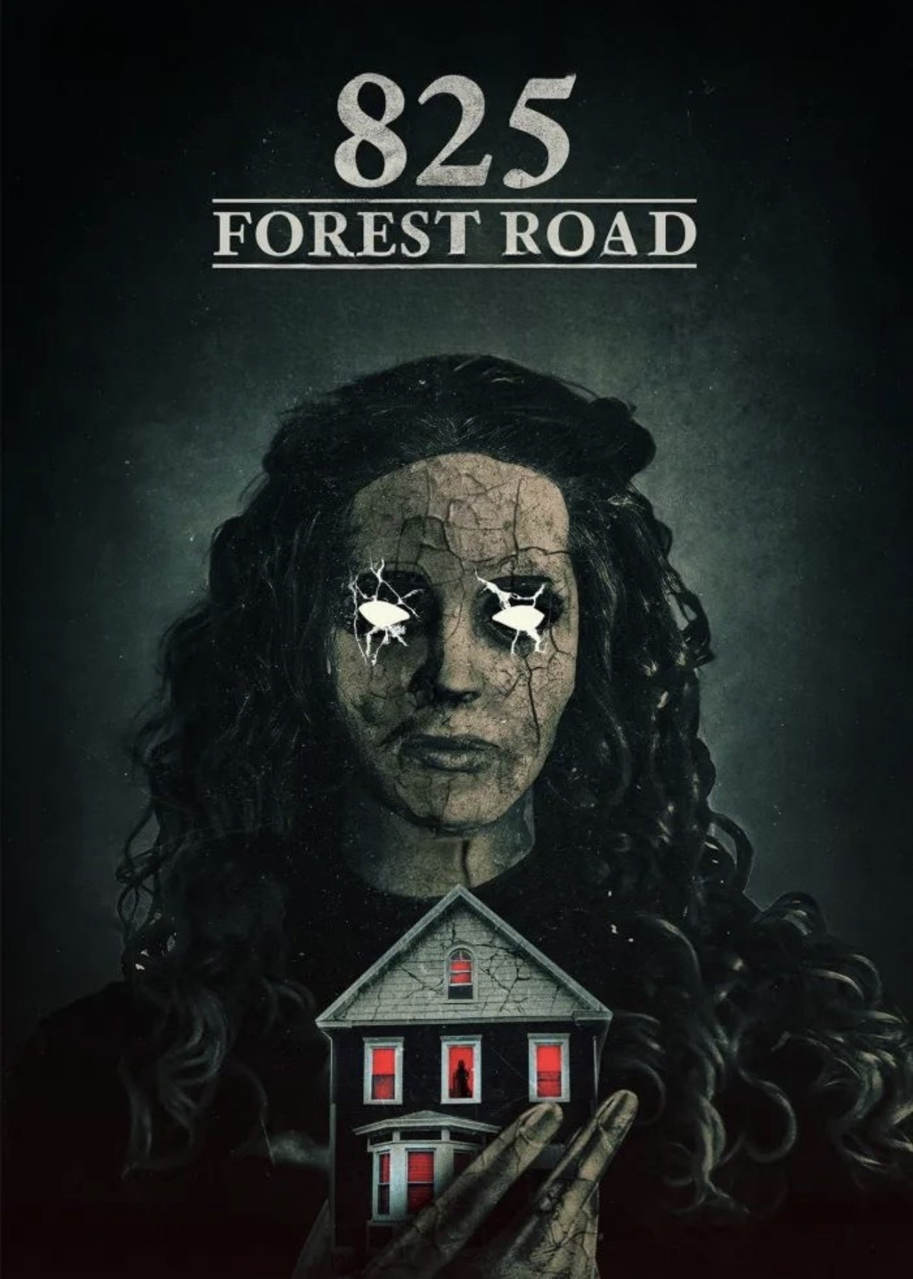 ดูหนังออนไลน์ 825 Forest Road (2025)