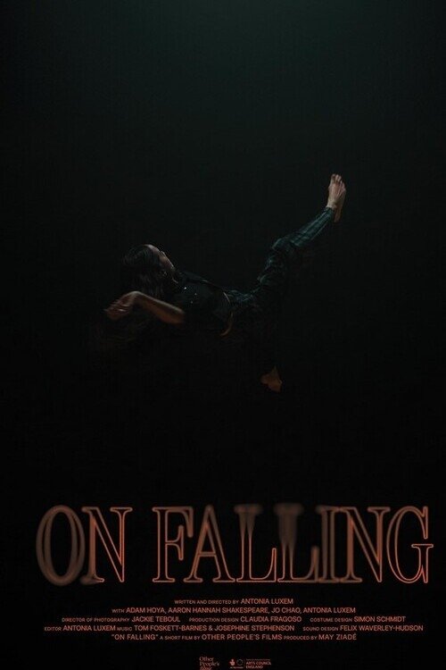 ดูหนังออนไลน์ On Falling (2024)