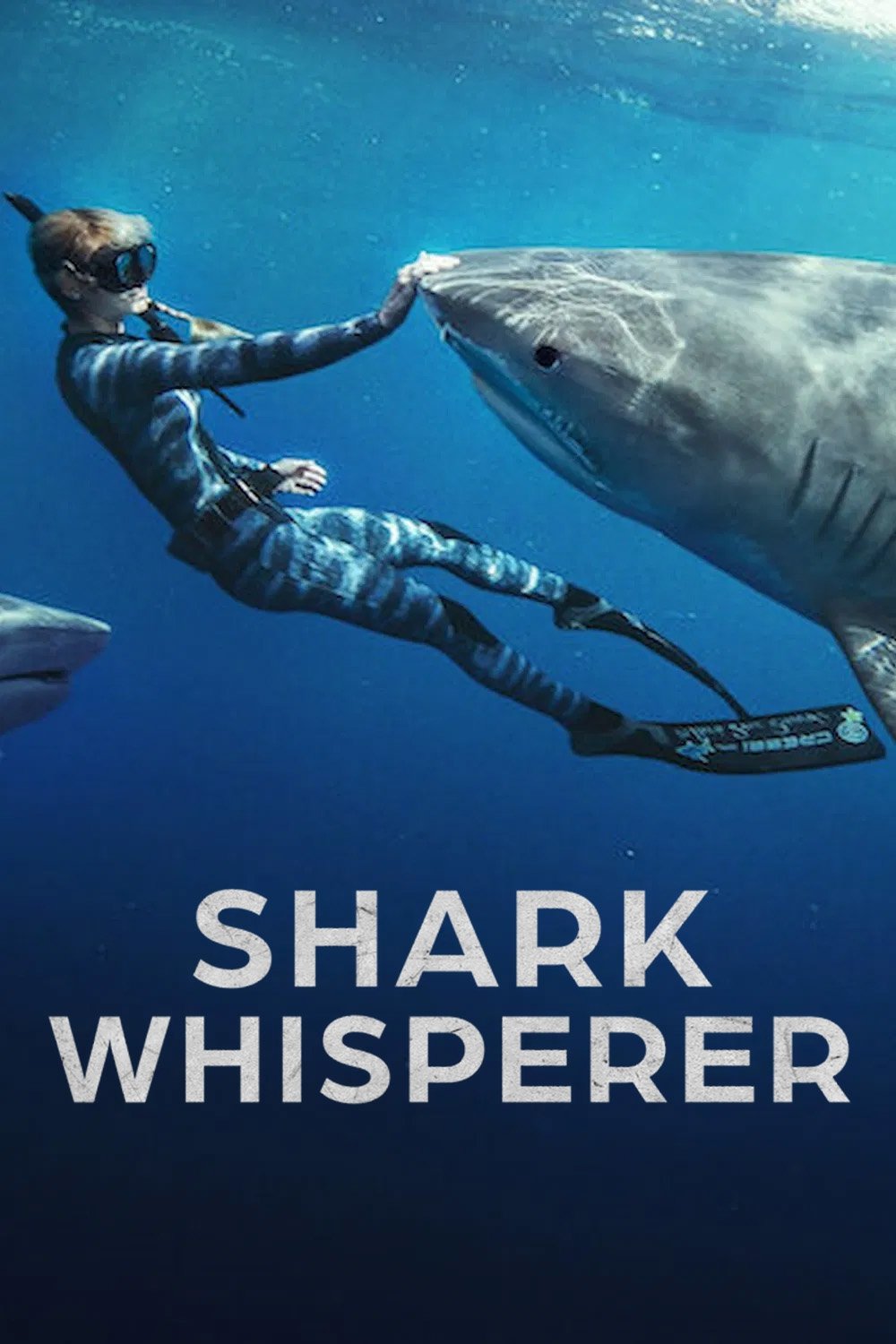 ดูหนังออนไลน์ Shark Whisperer (2025) คนรักษ์ฉลาม