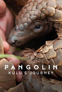 ดูหนังออนไลน์ Pangolin: Kulu’s Journey (2025) Pangolin: การเดินทางของคูลู