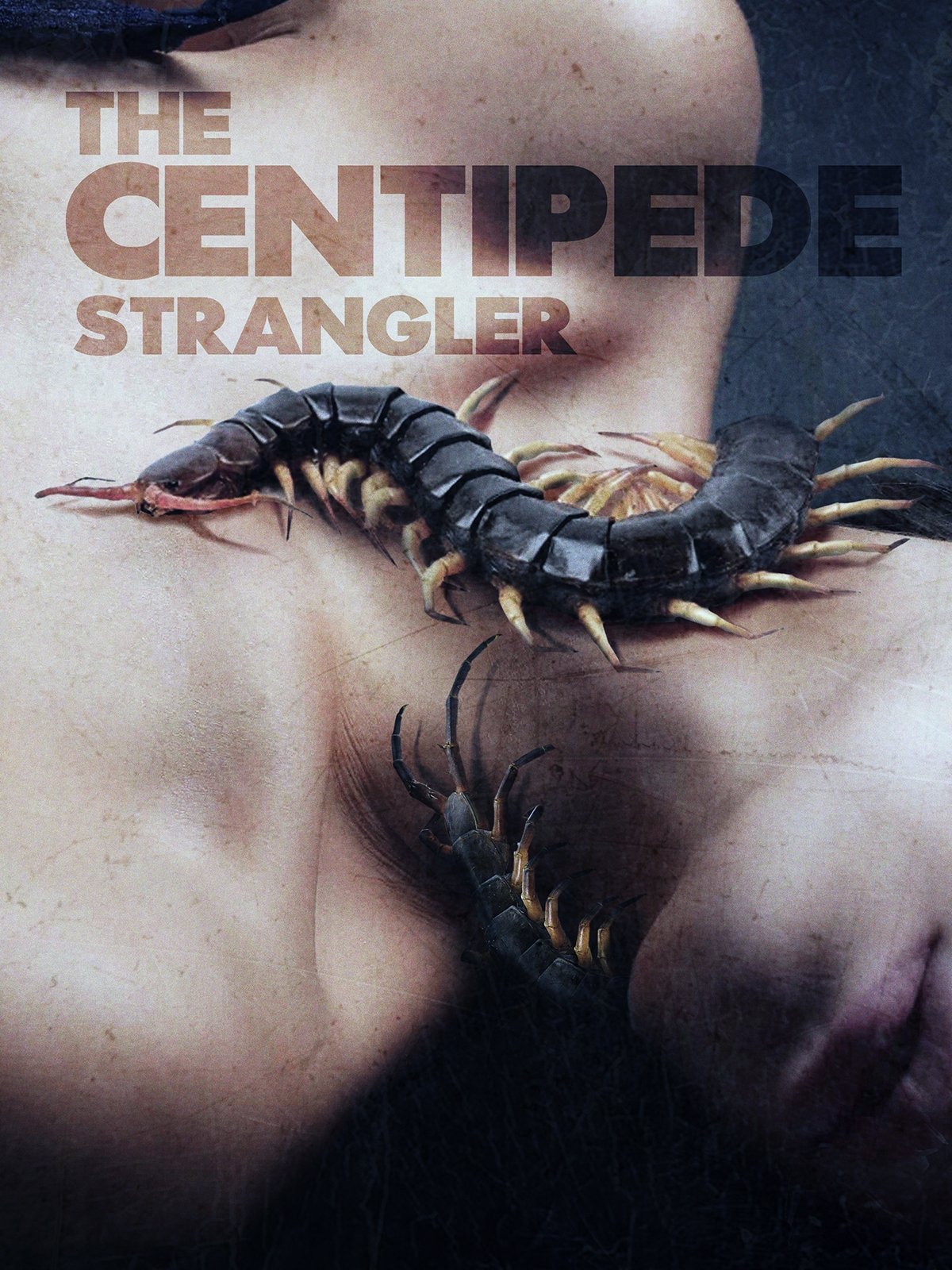 ดูหนังออนไลน์ The Centipede Strangler (2025)