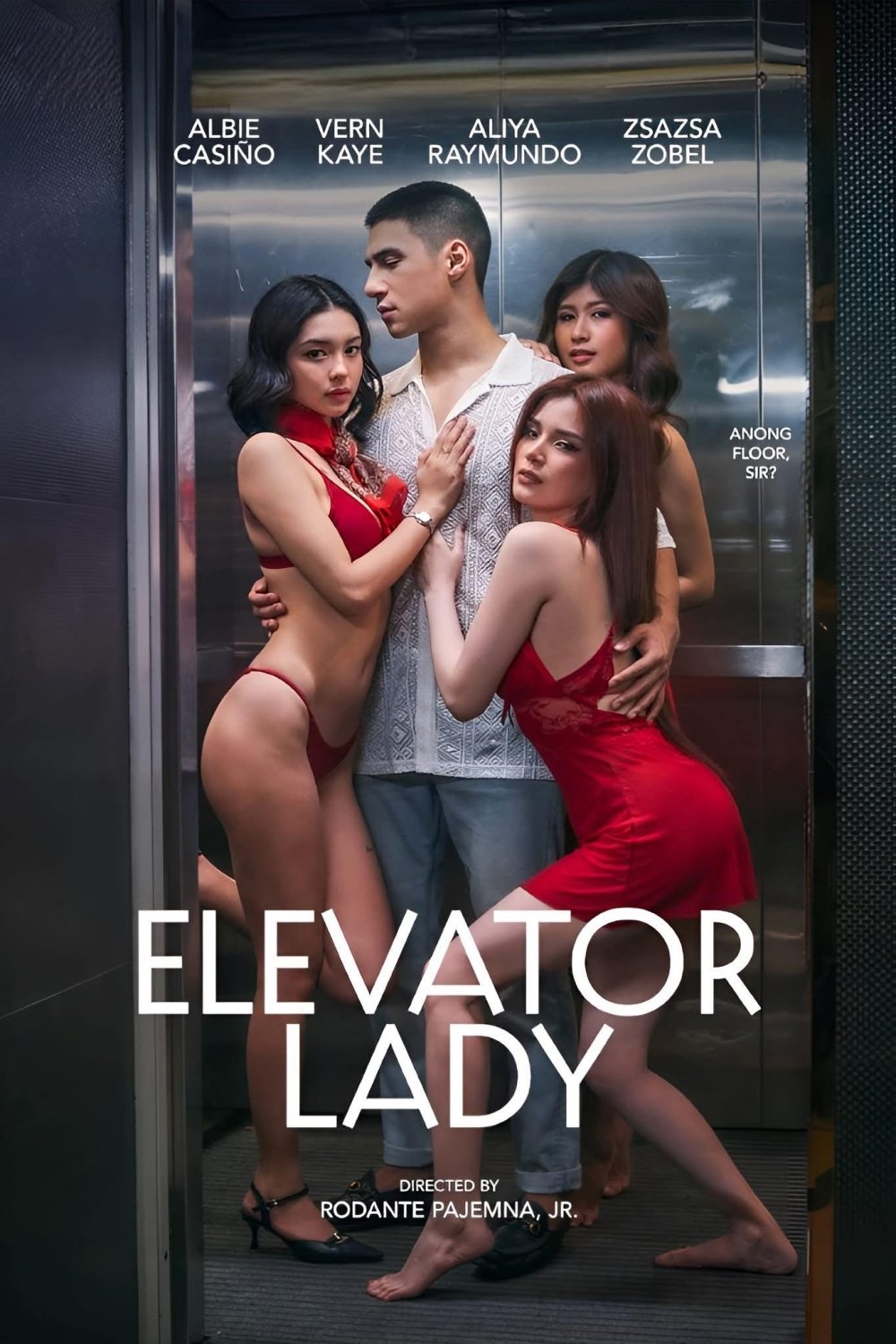 ดูหนังออนไลน์ Elevator Lady (2025)